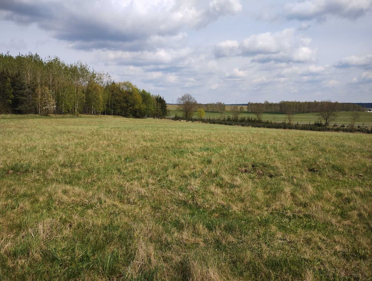 Działka rolna Ciemnik. Zdjęcie 4