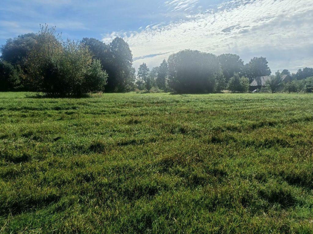 Działka budowlana Nowa Wieś Goszczańska Kuźnia Goszczańska. Zdjęcie 8