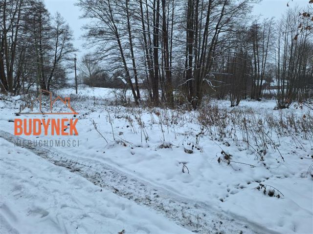 Działka rolna Przystawy. Zdjęcie 14