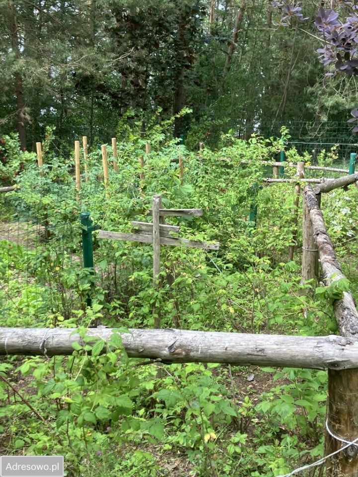 dom wolnostojący, 3 pokoje Borowy Młyn, ul. Jeziorna. Zdjęcie 9