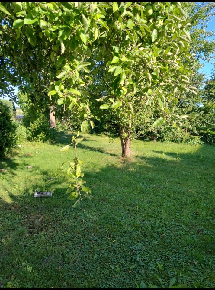 bliźniak, 2 pokoje Orłowo, ul. Żuławska. Zdjęcie 5