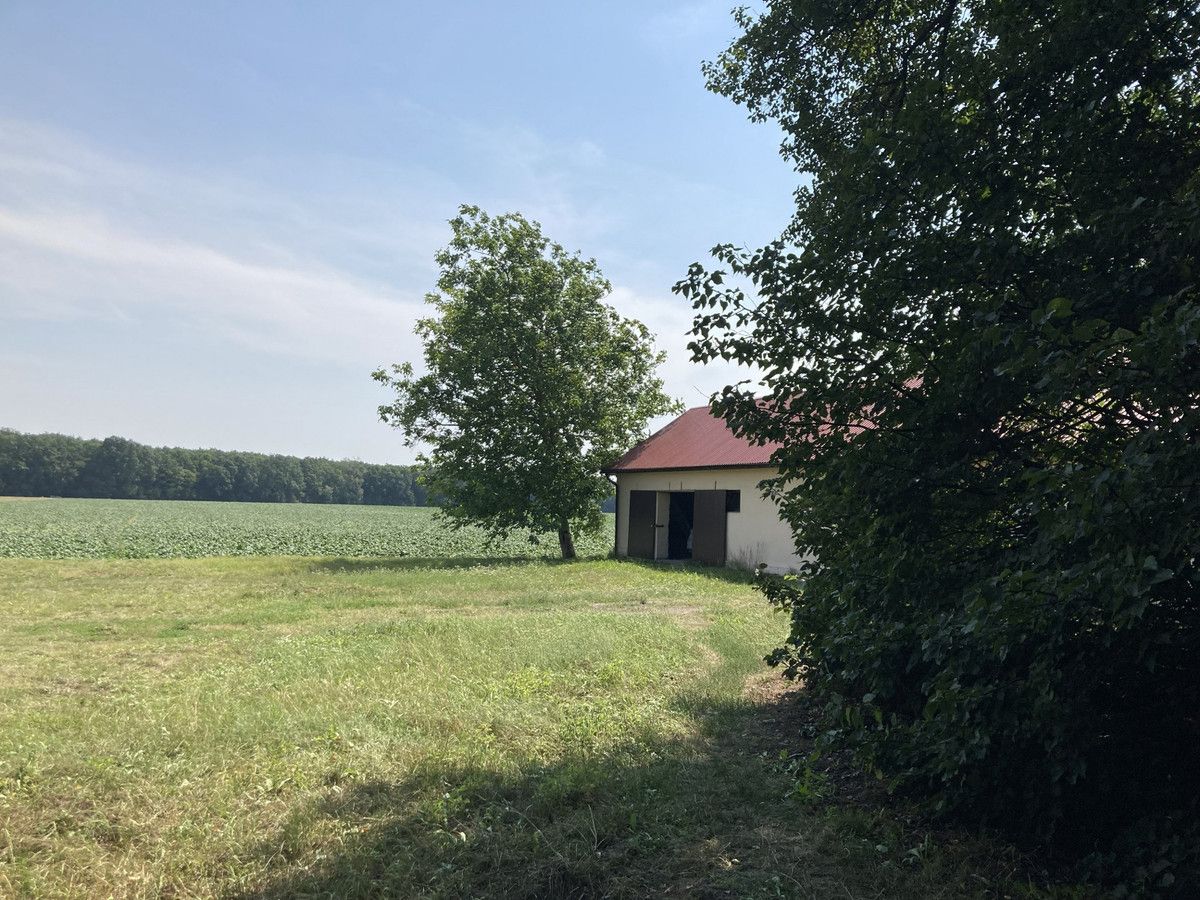 dom wolnostojący, 6 pokoi Strzeszkowice Duże Strzeszkowice Duże-Kolonia. Zdjęcie 17