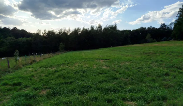 Działka rolno-budowlana Zagórnik, ul. Skornicka