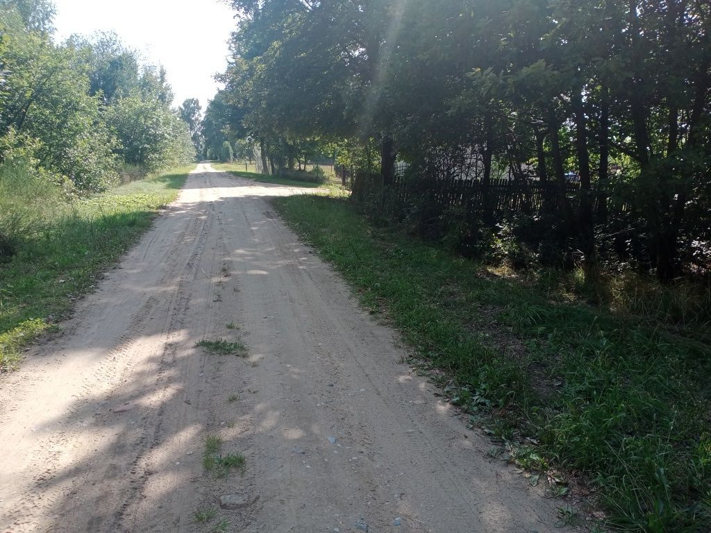 Działka rolna Wola Serocka. Zdjęcie 2