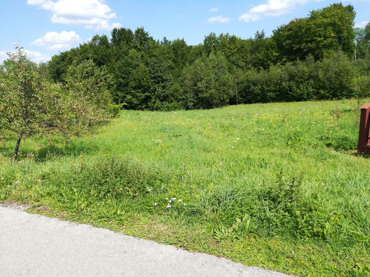 Działka inna Skawinki, ul. Leszczynowa. Zdjęcie 4