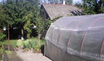 Działka rod Lublin Kalinowszczyzna, ul. Działkowa