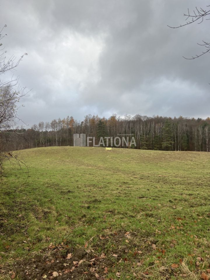 Działka rolna Paraszyno. Zdjęcie 11