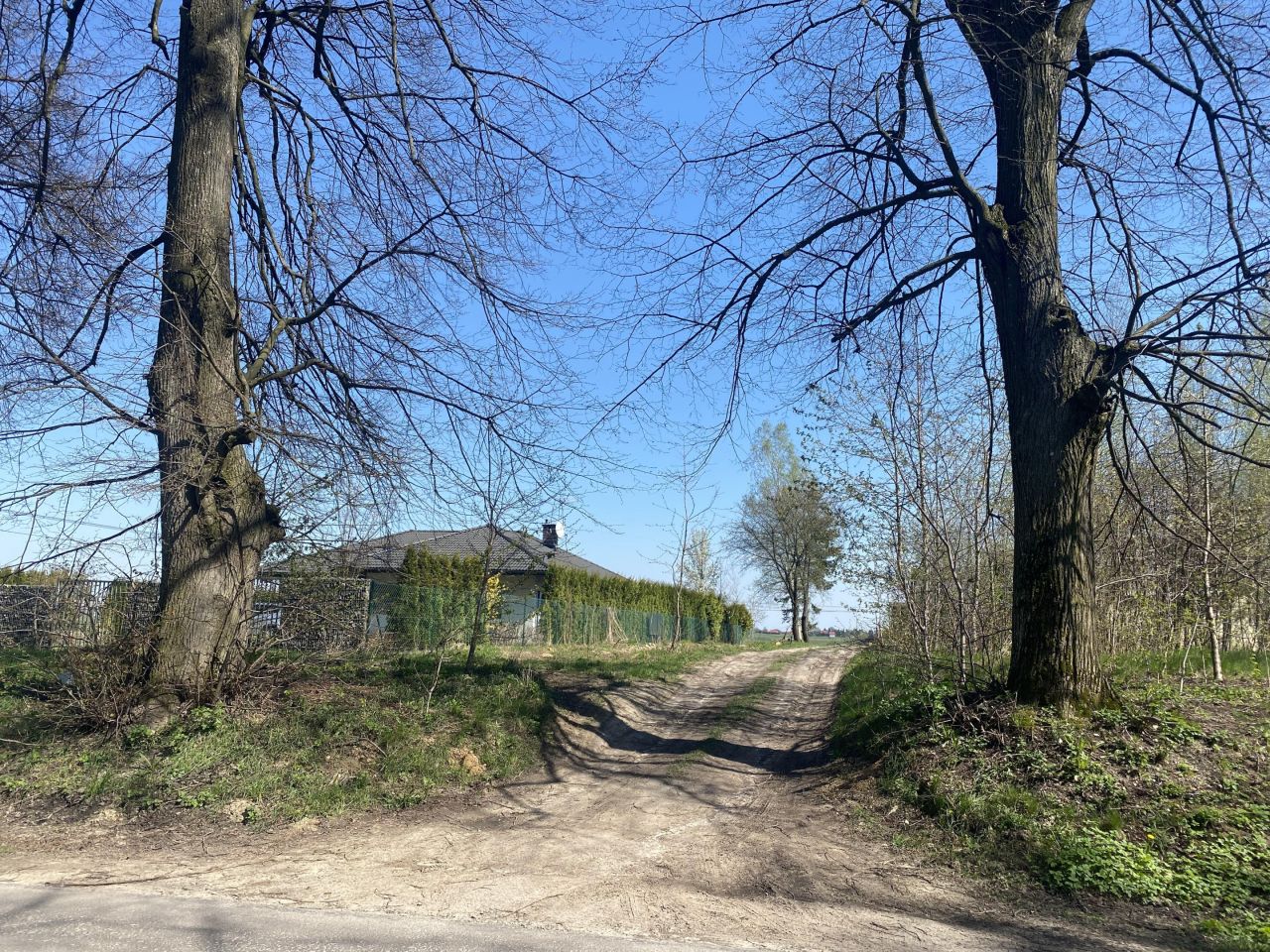 Działka rolno-budowlana Pólko. Zdjęcie 2