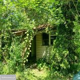 Działka rod Wołomin, ul. Zielona. Zdjęcie 3