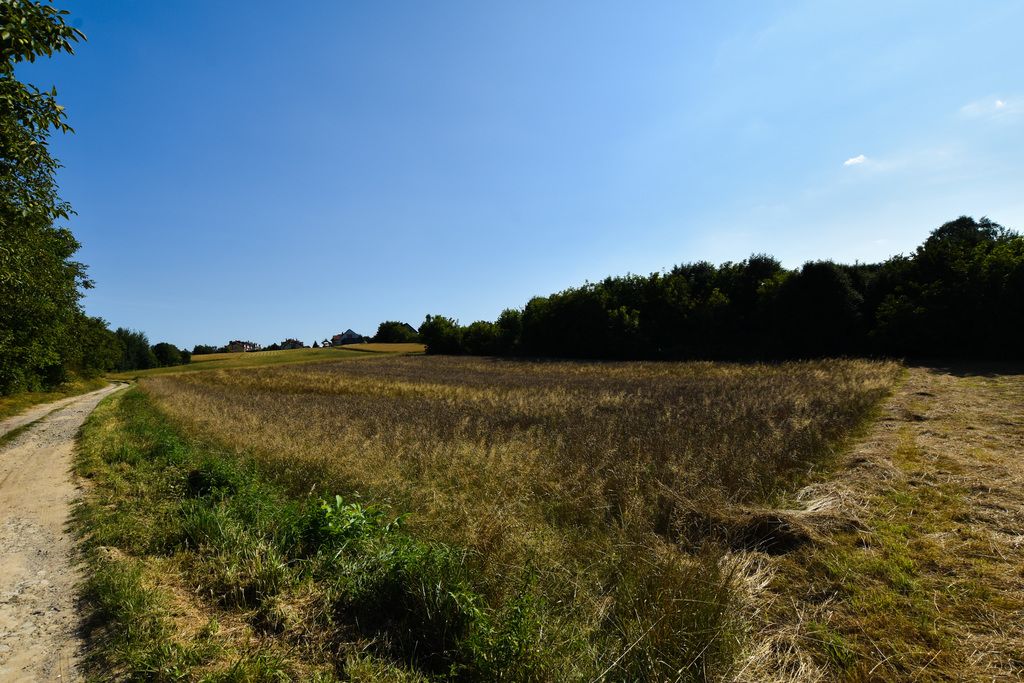 Działka budowlana Rzeszów Wilkowyja, ul. Marcina Filipa. Zdjęcie 3