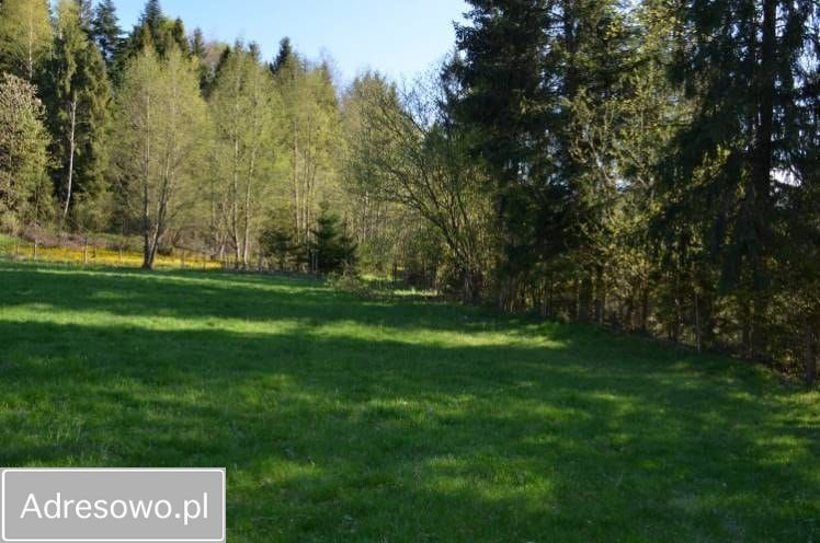 Działka rekreacyjna Szczawa. Zdjęcie 6