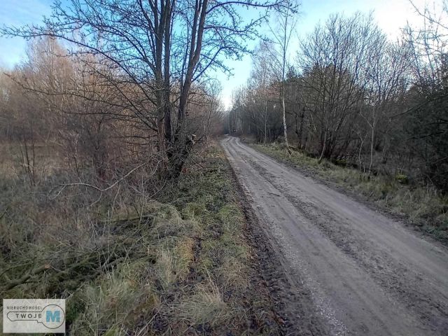 Działka inwestycyjna Daleszyce. Zdjęcie 5