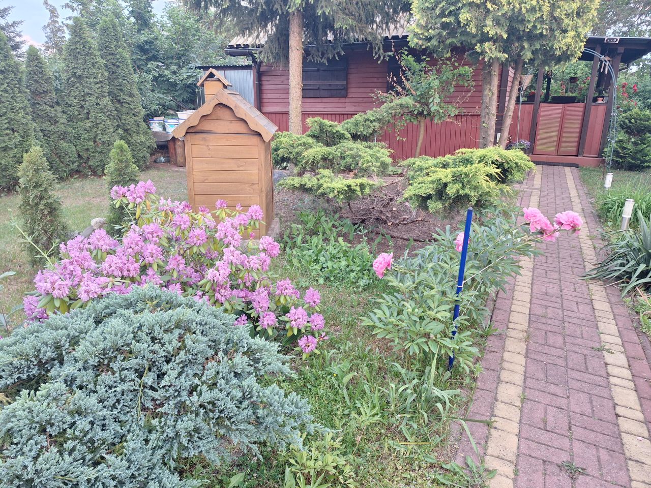 Działka rod Pułtusk, ul. Tadeusza Kościuszki. Zdjęcie 2