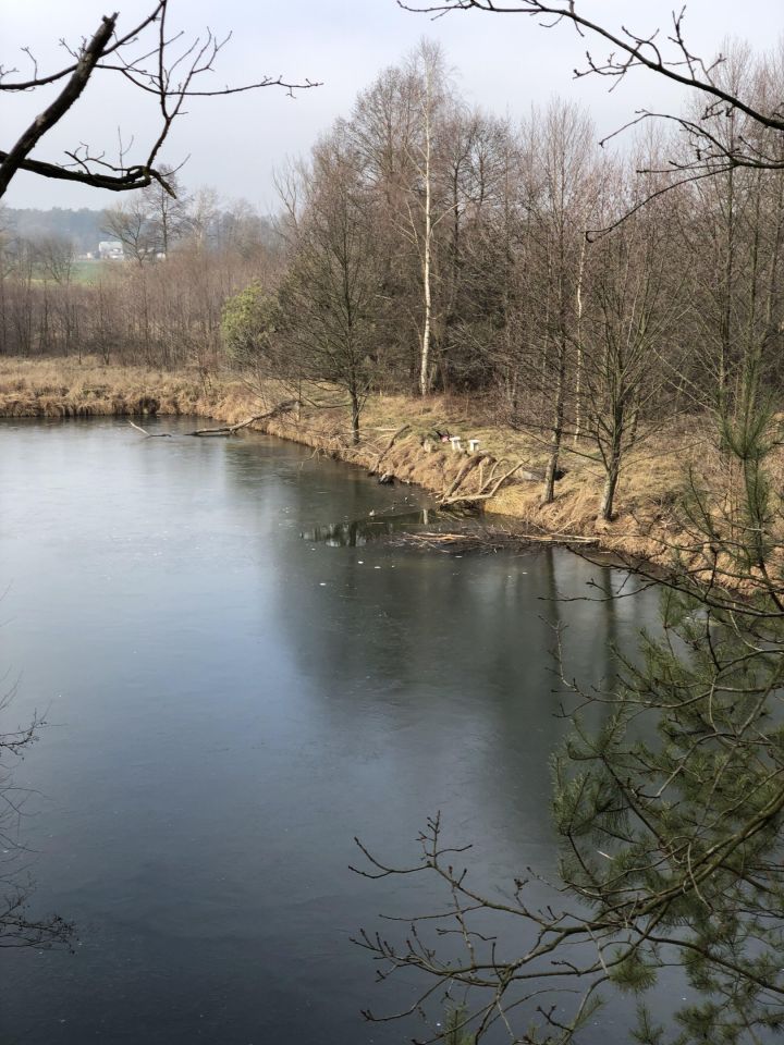 Działka rekreacyjna Osjaków, ul. Wesołe Kąty. Zdjęcie 9