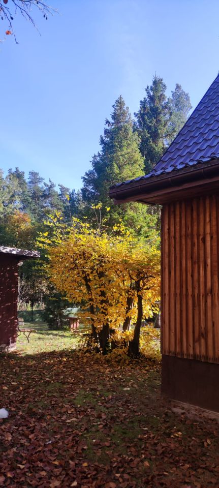 dom wolnostojący, 2 pokoje Wola Cyrusowa-Kolonia. Zdjęcie 5