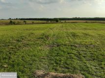 Działka inwestycyjna Sarbia. Zdjęcie 4