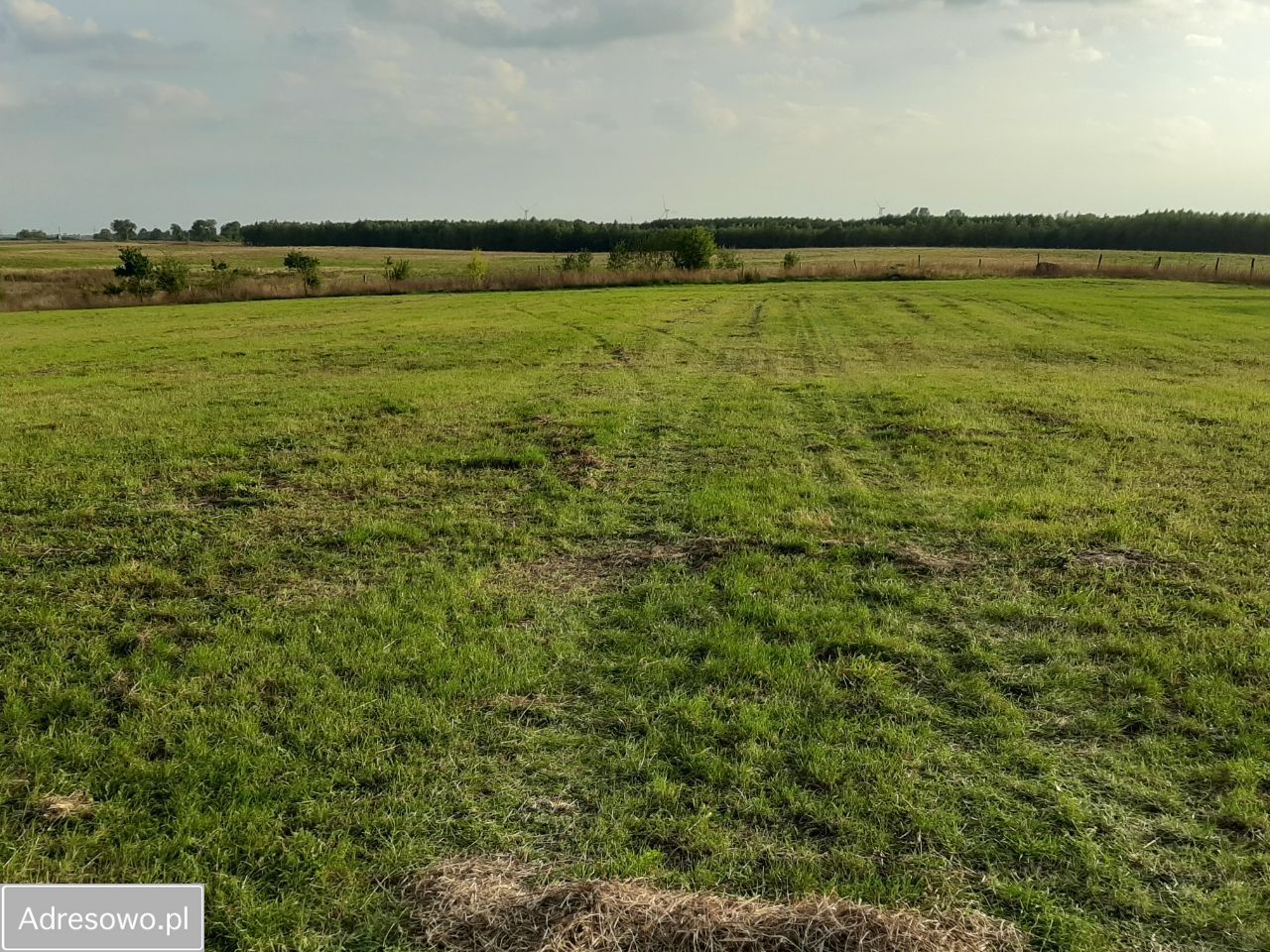 Działka inwestycyjna Sarbia. Zdjęcie 5