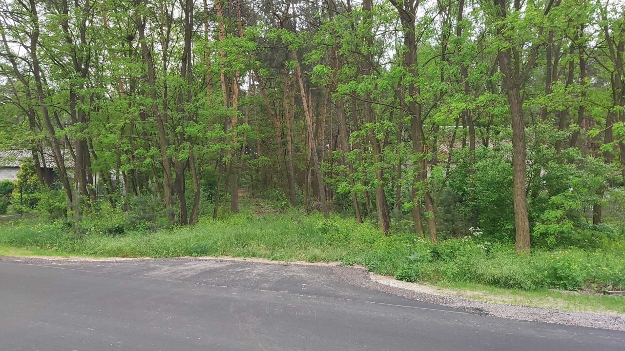 Działka Piaski. Zdjęcie 2