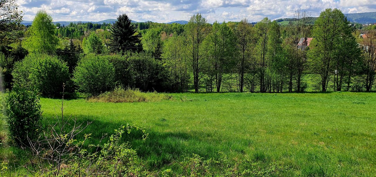 Działka budowlana Gorlice Korczak, ul. Graniczna. Zdjęcie 5