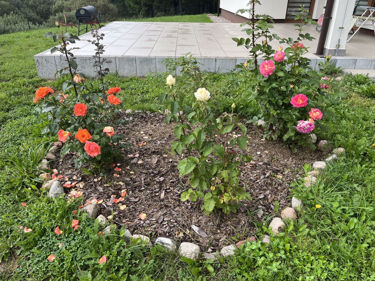 dom wolnostojący Szymanowo. Zdjęcie 18