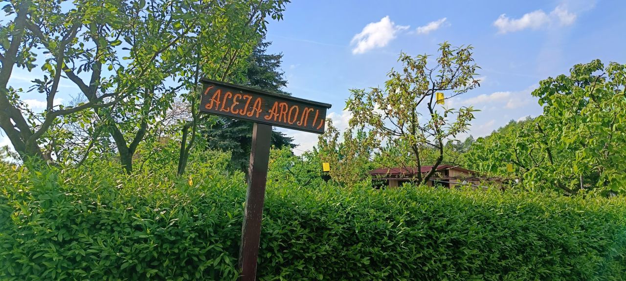 Działka rod Brzesko, ul. Leśna. Zdjęcie 4