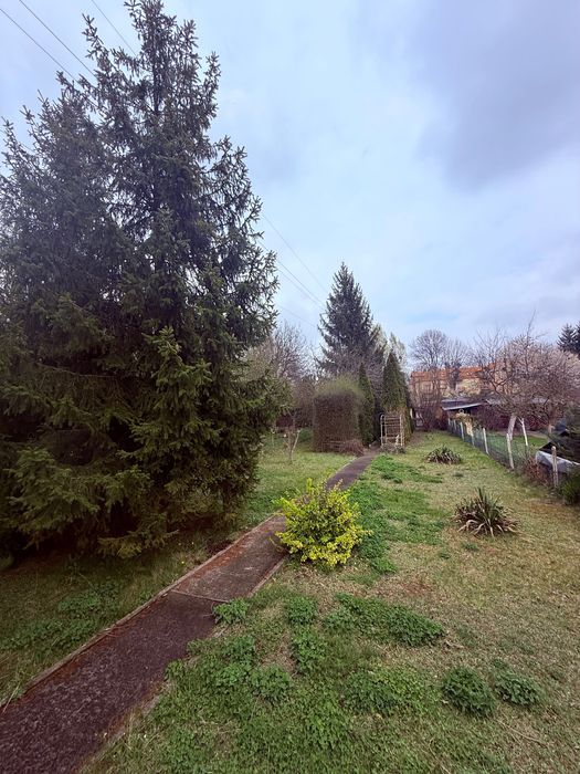 Działka rod Zabrze Mikulczyce. Zdjęcie 3