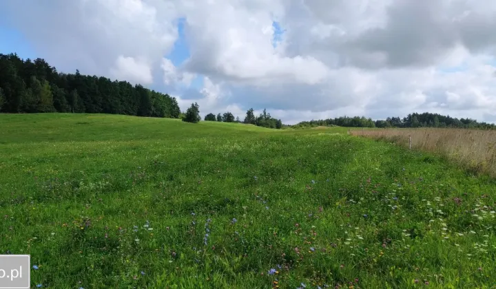 Działka rolna Tłokowo