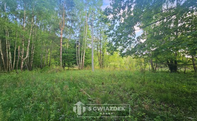 Działka budowlana Ostropole. Zdjęcie 15