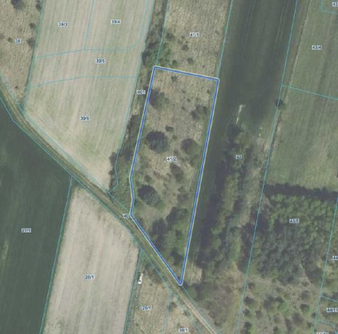 Działka budowlana Działoszyn. Zdjęcie 1