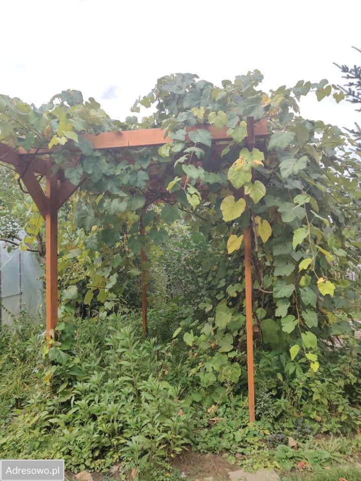 Pokój Pogórska Wola. Zdjęcie 16