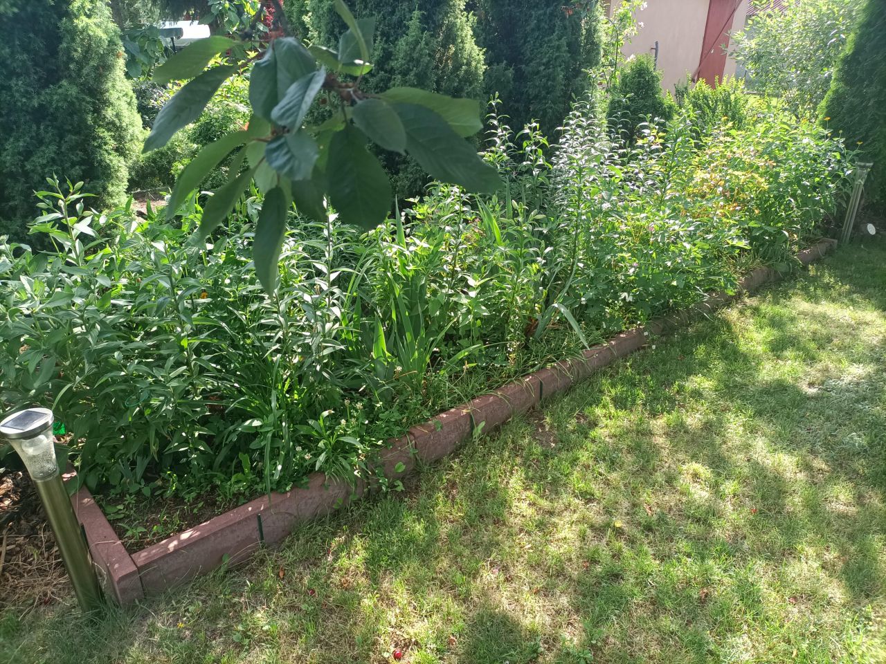 Działka rod Łódź Górna, ul. Lodowa. Zdjęcie 20