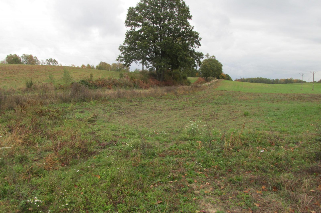 Działka budowlana Gościno. Zdjęcie 5