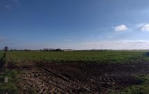 Działka budowlana Bądków Drugi. Zdjęcie 1