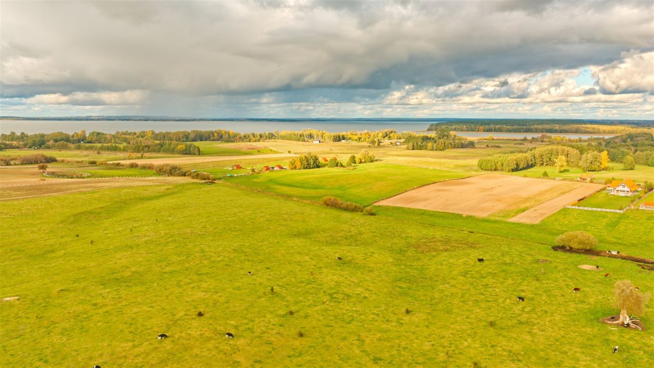 Działka rolna Zdory. Zdjęcie 9