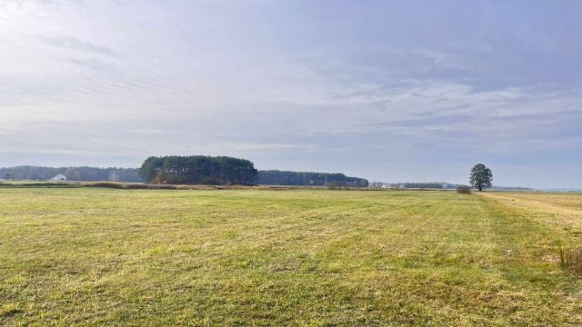 Działka rolna Trzcińskie. Zdjęcie 1