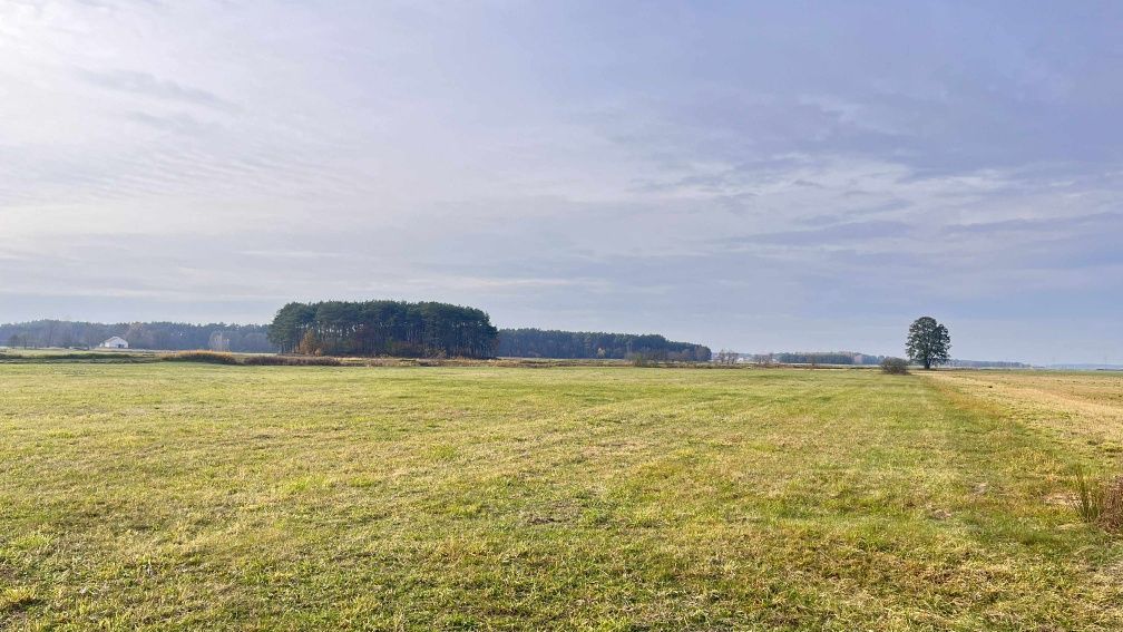 Działka rolna Trzcińskie