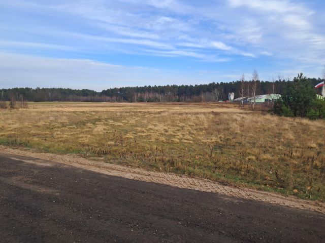 Działka rolna Płatków. Zdjęcie 1