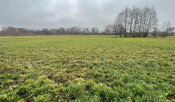 Działka budowlana Grodzisko