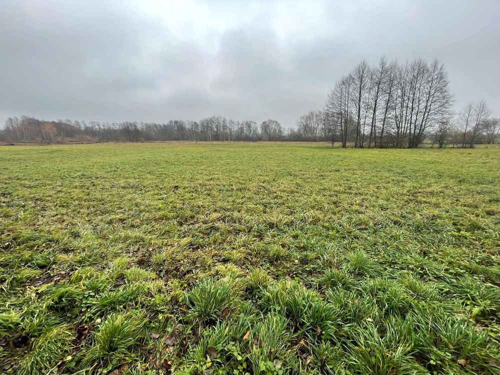 Działka budowlana Grodzisko