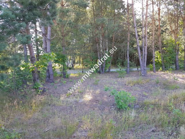 Działka budowlana Jesionka. Zdjęcie 5