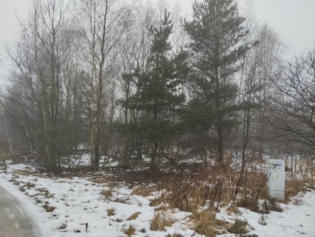 Działka rolno-budowlana Dąbrówka-Sowice. Zdjęcie 1