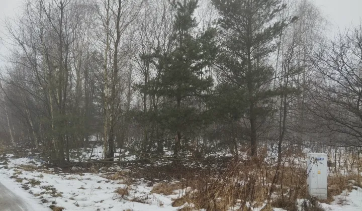 Działka rolno-budowlana Dąbrówka-Sowice