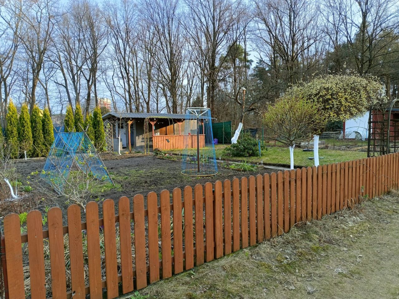 Działka rod Zielona Góra, ul. Osiedle Pomorskie. Zdjęcie 15
