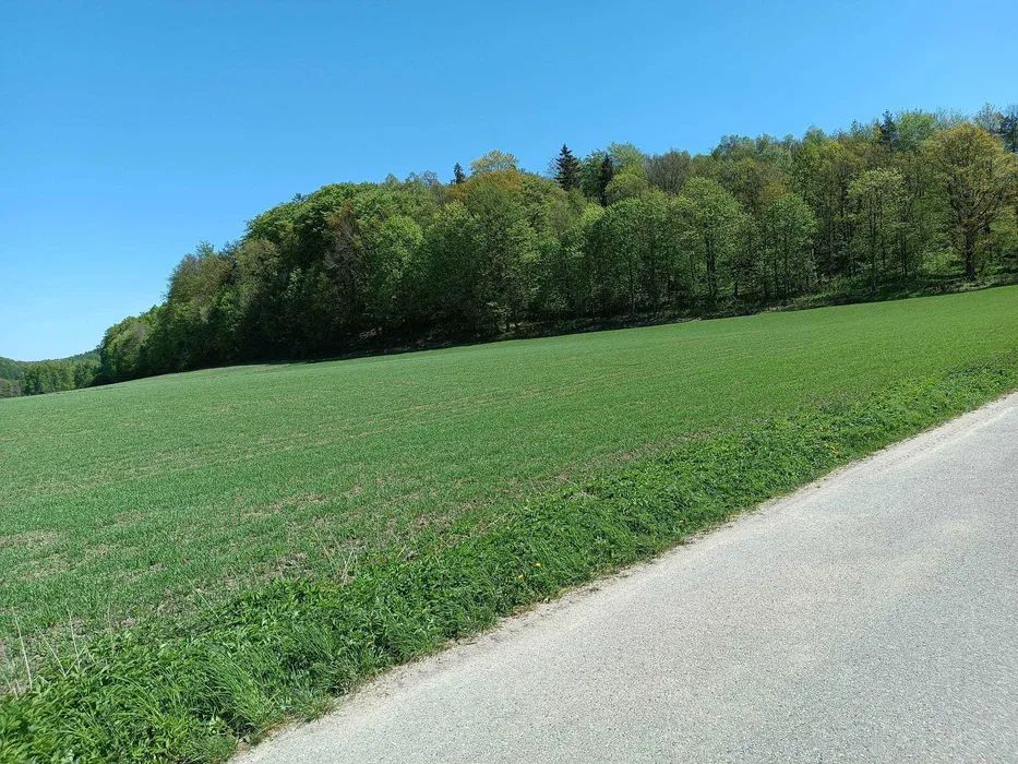 Działka budowlana Napromek osada. Zdjęcie 4