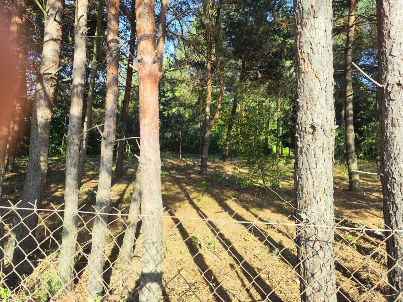 Działka budowlana Skrzeszew, ul. Janiny. Zdjęcie 2