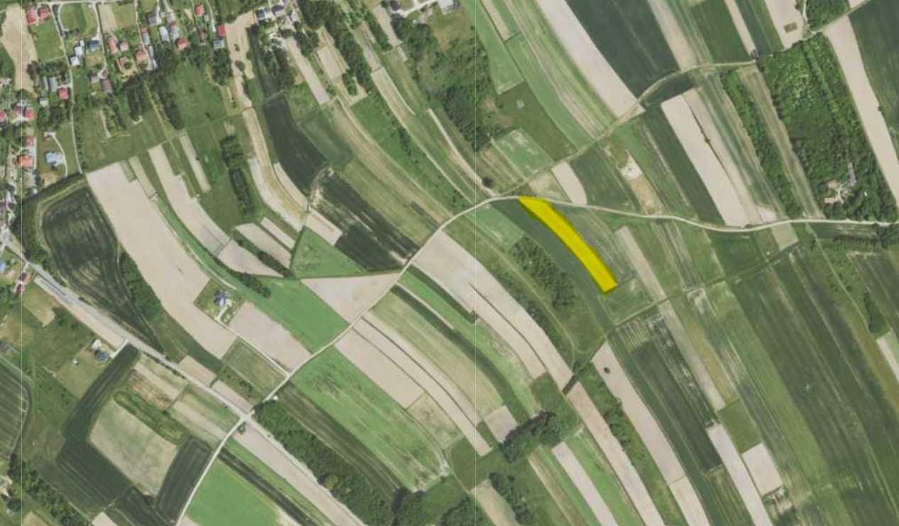 Działka rolna Niechobrz. Zdjęcie 1