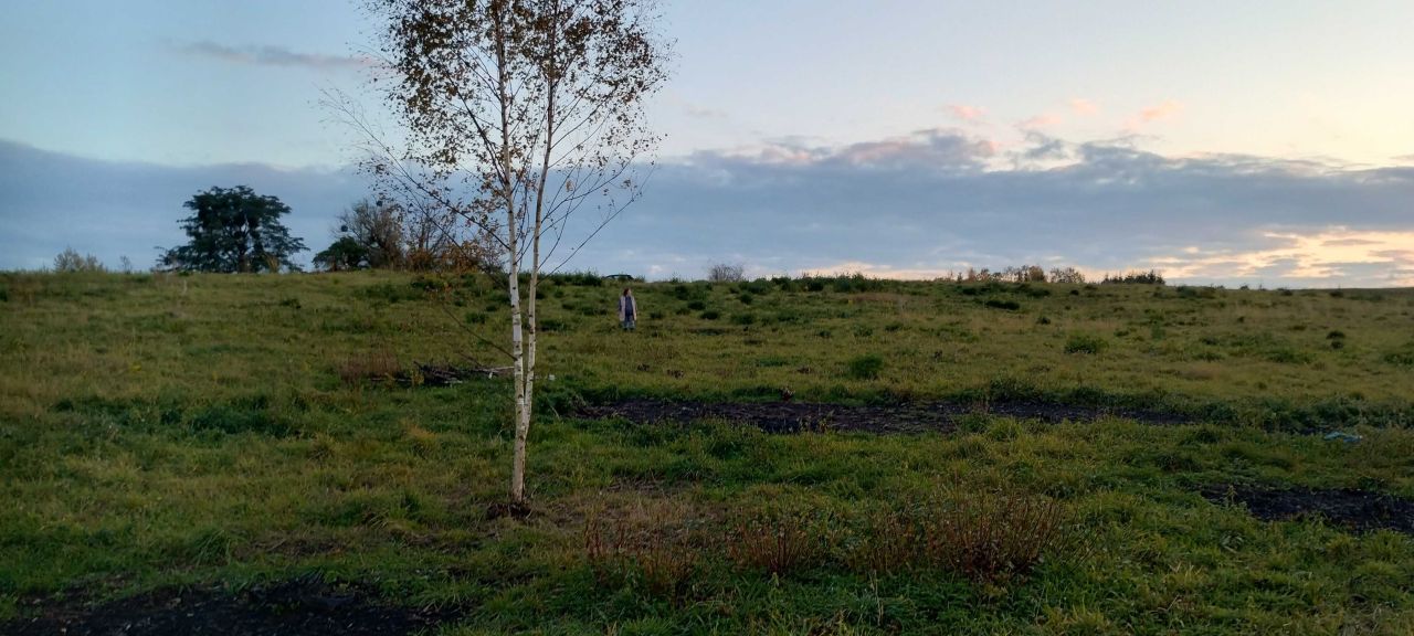 Działka budowlana Szczęsne. Zdjęcie 3