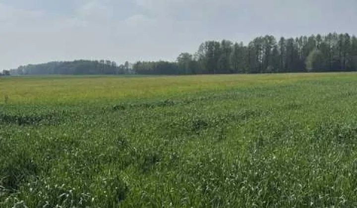 Działka rolna Stok