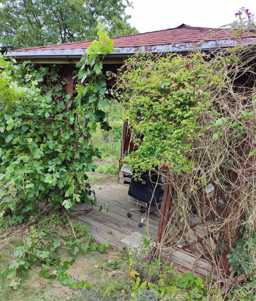 Działka rod Gdańsk Owczarnia, ul. Owczarnia. Zdjęcie 5