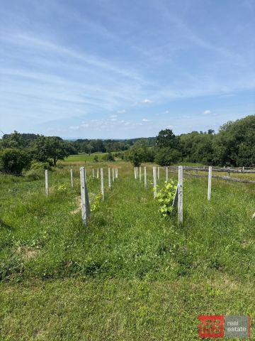 dom wolnostojący, 8 pokoi Kalinowice Górne. Zdjęcie 7